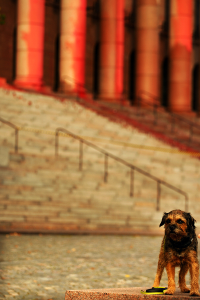 Swedish Activists Vandalize Finland’s Parliament Building; Finnish Elokapina Shares the Responsibility Swedish Activists Vandalize Finland’s Parliament Building; Finnish Elokapina Shares the Responsibility